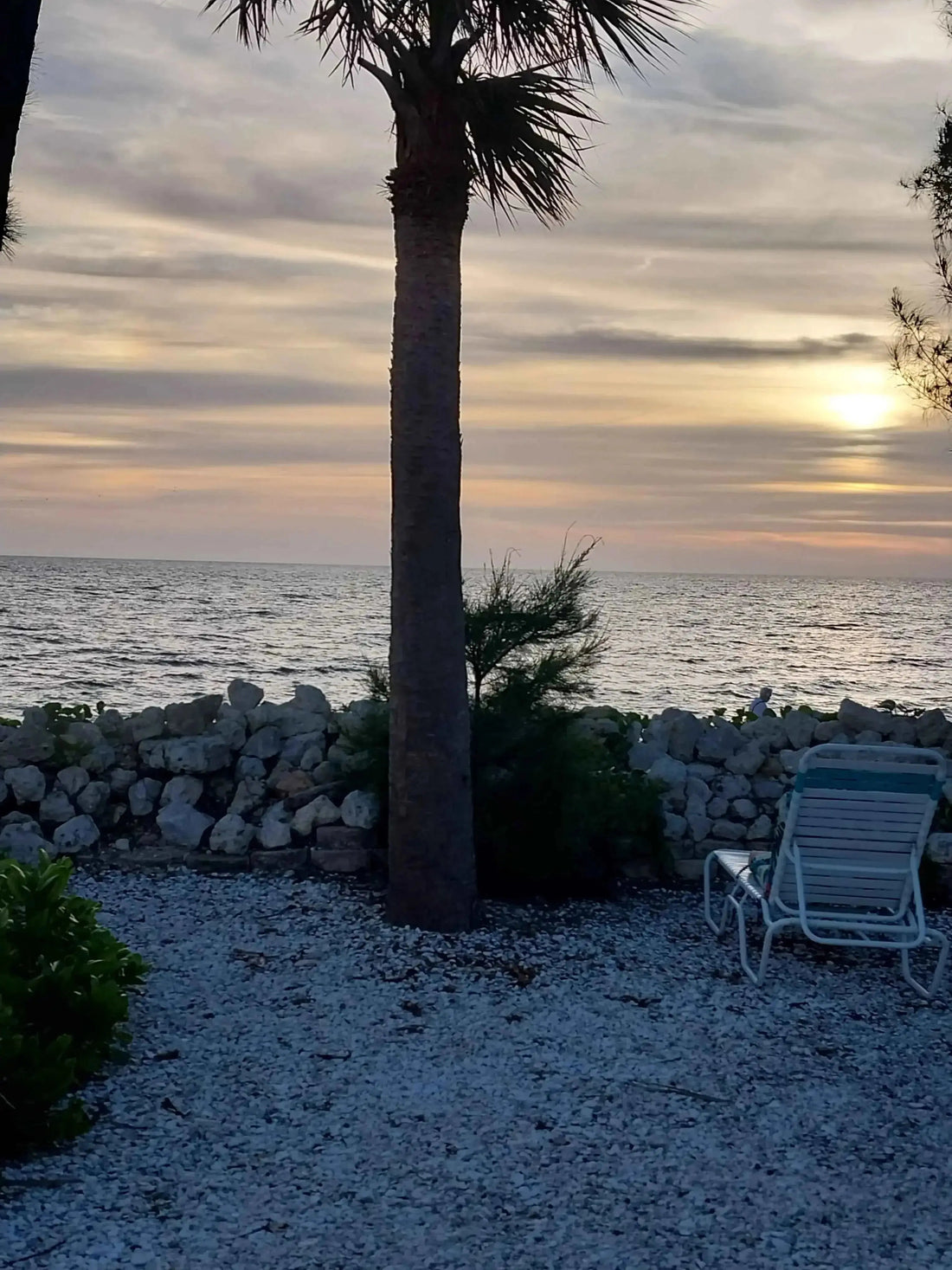 The sunset - Mr Lou’s Place