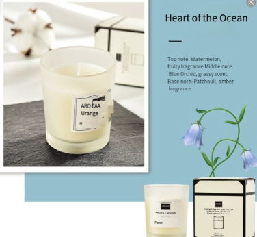 Aromatherapy Soy Candles for Home - 1 Piece Mr Lou’s Place