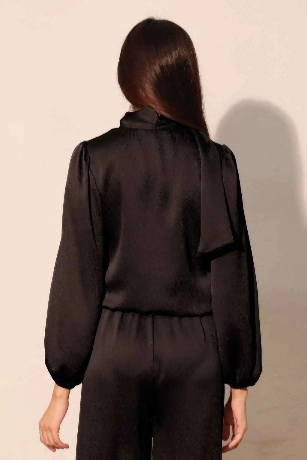 Hammered Satin Long Sleeve Crop Top - Mr Lou’s Place