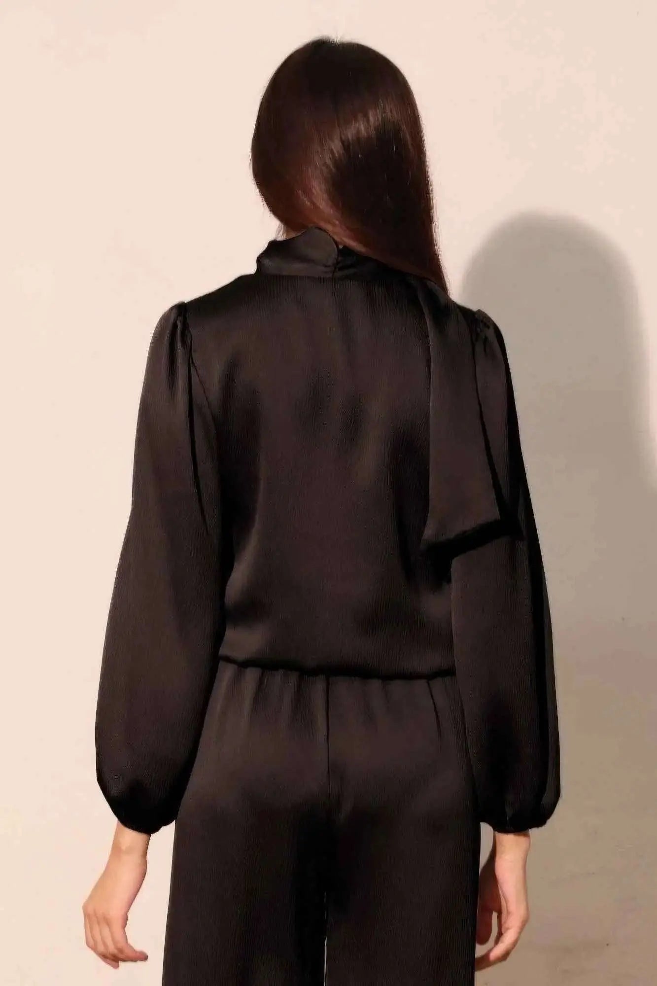 Hammered Satin Long Sleeve Crop Top - Mr Lou’s Place